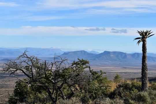 Typical Karoo Image, by A&A Adventures in South Africa