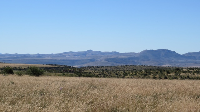 Vast open spaces at Mountain Zebra National Park with A & A Adventures