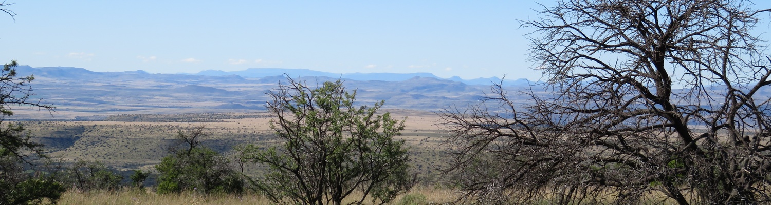 Mountain Zebra National Park with A & A Adventures in South Africa
