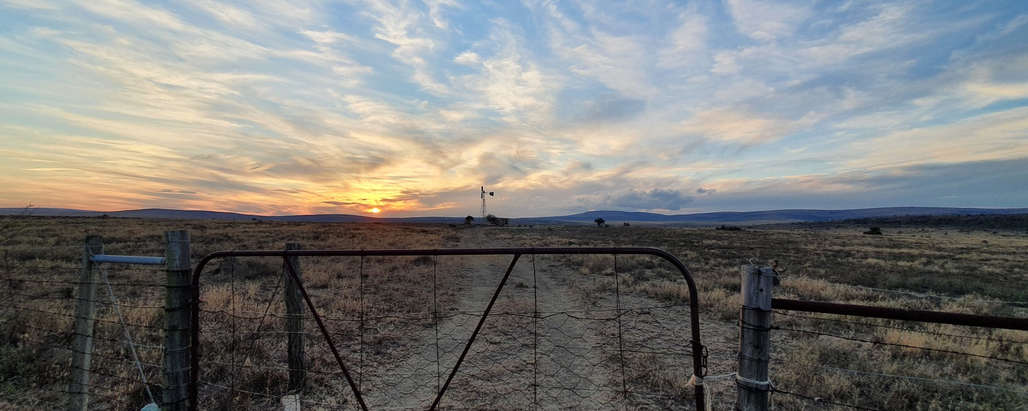 Spectacular skies in the Karoo, with A&A Adventures in South Africa