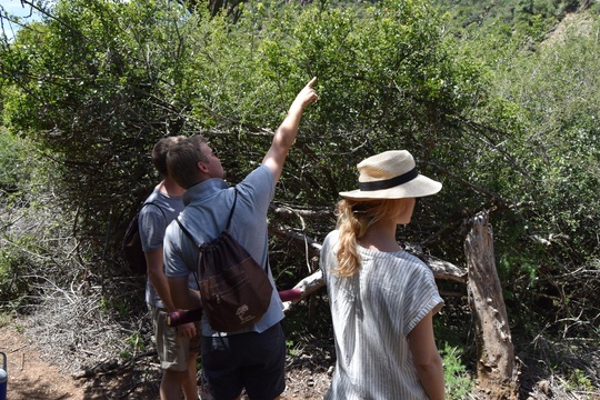 Indigenous forest walk in Somerset East with A&A Adventures in South Africa