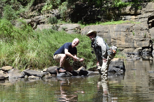 Wild Fly fishing in the Karoo with Alan Hobson, A&A Adventures