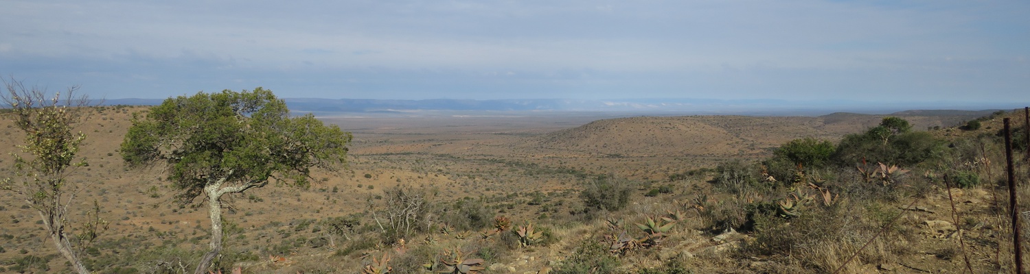 The Great Karoo, Eastern Cape, South Africa