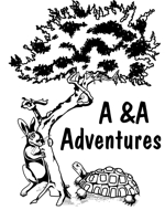 Packaged Fly Fishing and Family Tours in the Karoo - A&A Adevntures